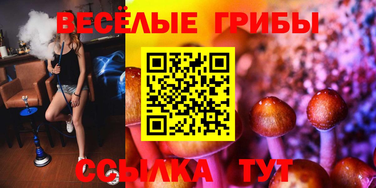 Людиново  где найти наркотики  Вход с VPN  Галлюциногенные грибы мухоморы 